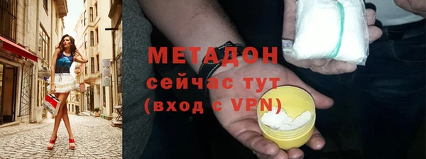 шишки Слюдянка