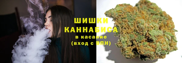 шишки Слюдянка