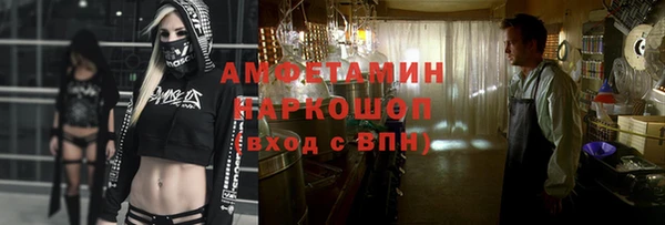 шишки Слюдянка