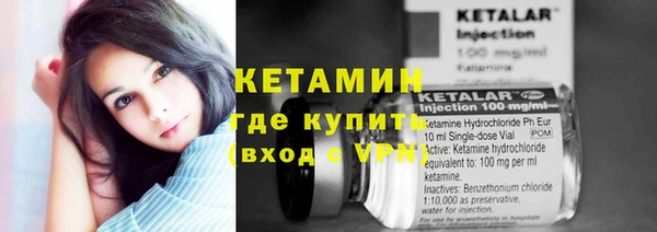 шишки Слюдянка