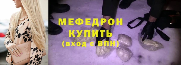шишки Слюдянка