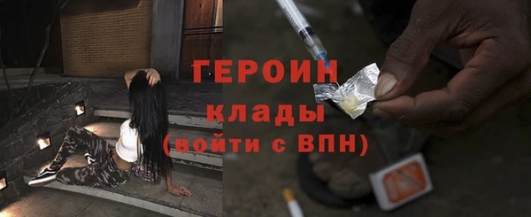 шишки Слюдянка