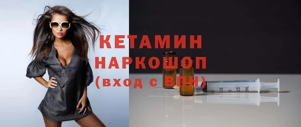 шишки Слюдянка