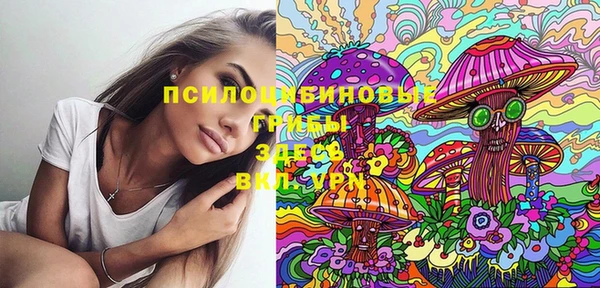 шишки Слюдянка