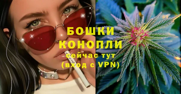 шишки Слюдянка