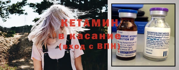 шишки Слюдянка